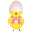 chicken egg shell top Icon
