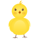 new born chicken Icon