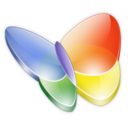 Msn Butterfly Icon