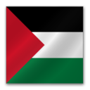 Palestine flag Icon