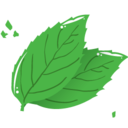 mint leaf Icon