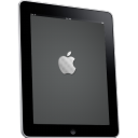iPad Side Apple Logo Icon