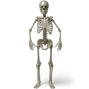 Standing skeleton Icon