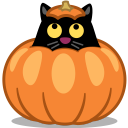 cat pumpkin Icon