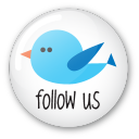 twitter button follow us Icon