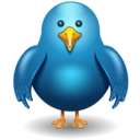 twitter bird front Icon