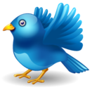 twitter bird landing Icon