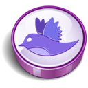 twitter bird sign purple Icon