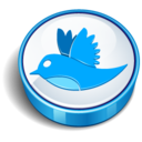 twitter bird sign Icon