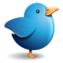 twitter bird Icon