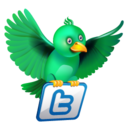 twitter flying green Icon