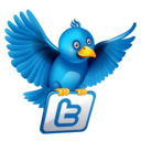 twitter flying Icon
