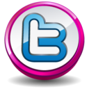 twitter round pink Icon