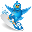 twitter surf Icon