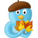 Fall leaves Icon