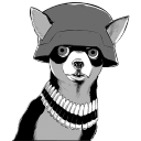 Army Chihuahua Icon