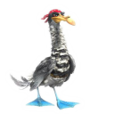 Seagull Icon
