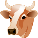 Cow head Icon