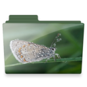 butterfly folder Icon