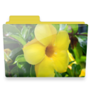 flower folder Icon