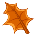 Drought Leaf Icon