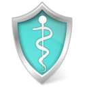 Health care shield Icon