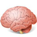 Body Brain Icon