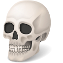 Body Skull Icon