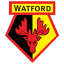 Watford FC Icon
