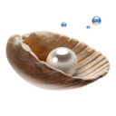 Pearl Icon