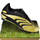 Soccer shoe grass Icon