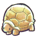 G12 Turtle Icon