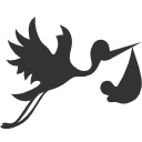 Baby Flying stork with bundle Icon