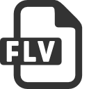 File Types Flv Icon