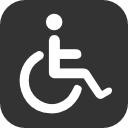 Logos Accessibility1 Icon