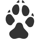 Tracks Footprints Dog Icon