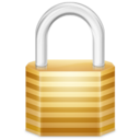 Misc Security Icon