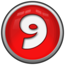 Number 9 Icon