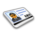 System Security Card Icon