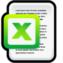 Document Microsoft Excel Icon