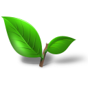 tea plant leaf Icon