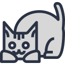 29-cat Icon