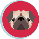 DOG3 Icon