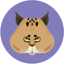 Pitao Lynx Icon