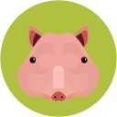 Pitao pig Icon