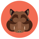 Pitao wild boar Icon