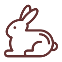 white rabbit Icon