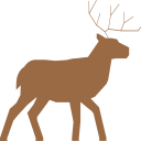 Male deer Icon