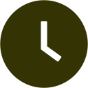 time-circle-fill Icon