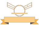 Medal icon 16 Icon